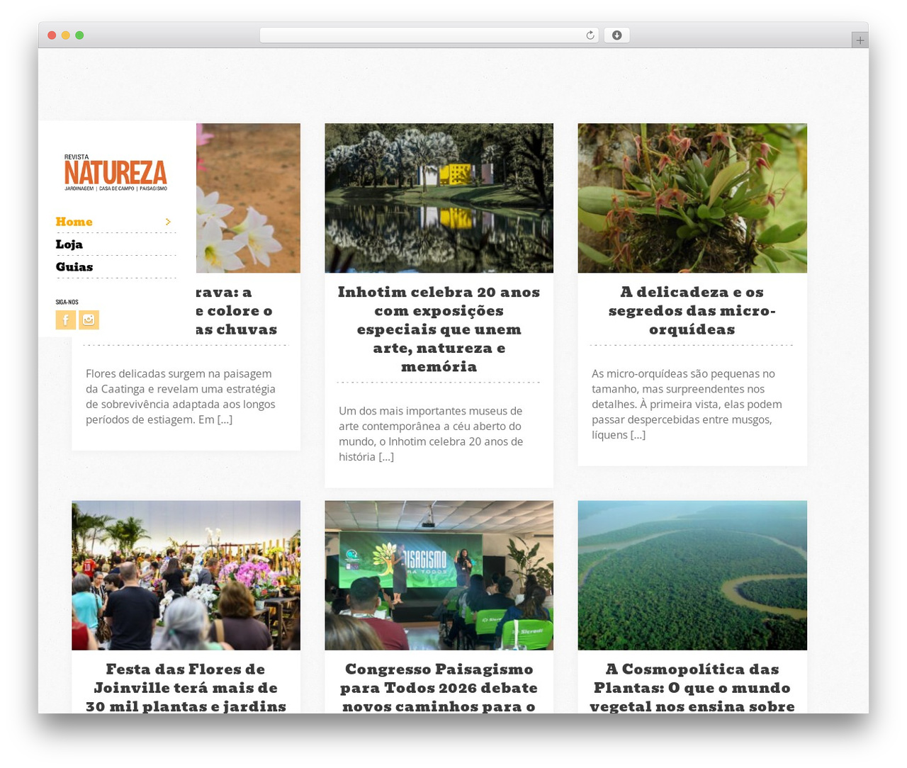Socha Responsive Theme WP theme - revistanatureza.com.br