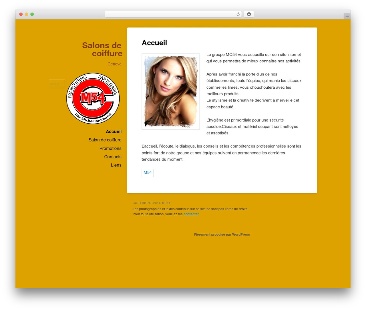 Theme WordPress Hum - salonsdecoiffure.ch Theme WordPress Hum - salonsdecoiffure.ch