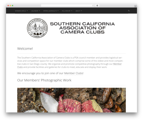 WordPress theme Stargazer - scacc.us
