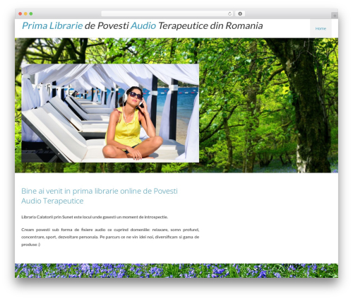 Attraction WordPress theme - shop.calatoriiprinsunet.ro