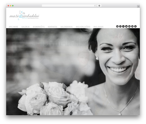 Sk_isotope_gallery WordPress plugin - mazistebuklai.lt