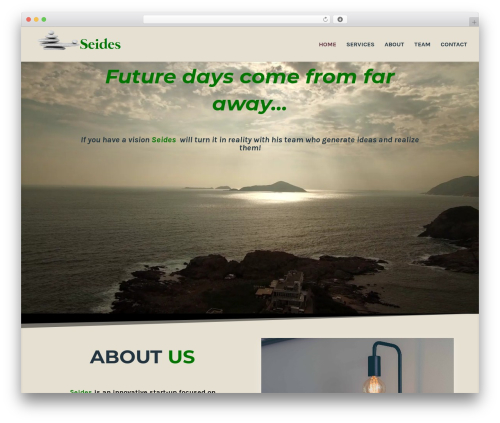 Divi WordPress theme - seides.com