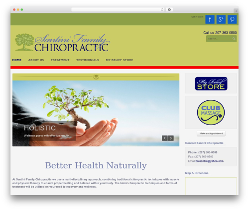 Euphoria theme WordPress - santinichiro.com
