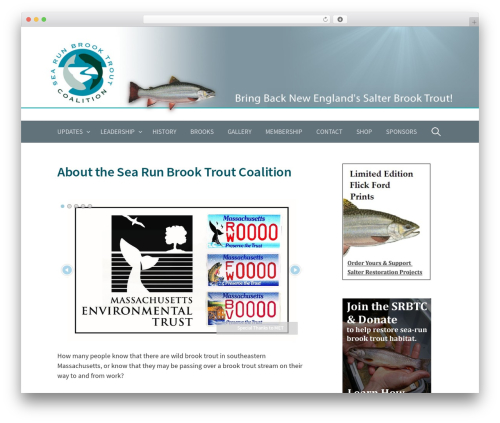 First free WP theme - searunbrookie.org