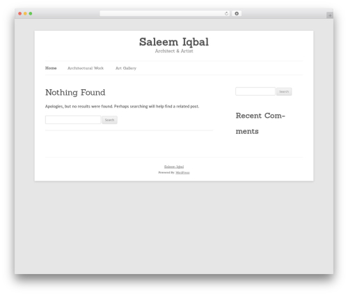 Silver Platinum theme WordPress - saleemiqbal.com