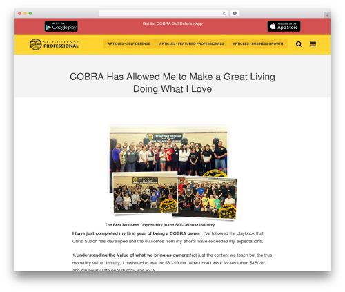 Slab Base 2 WordPress website theme - selfdefenseprofessional.com
