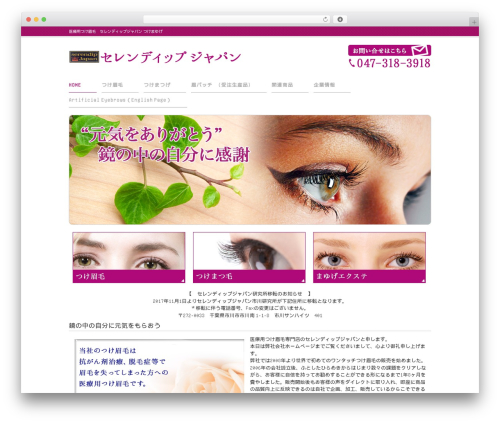 smart088 WordPress page theme - serendip-ginza.com