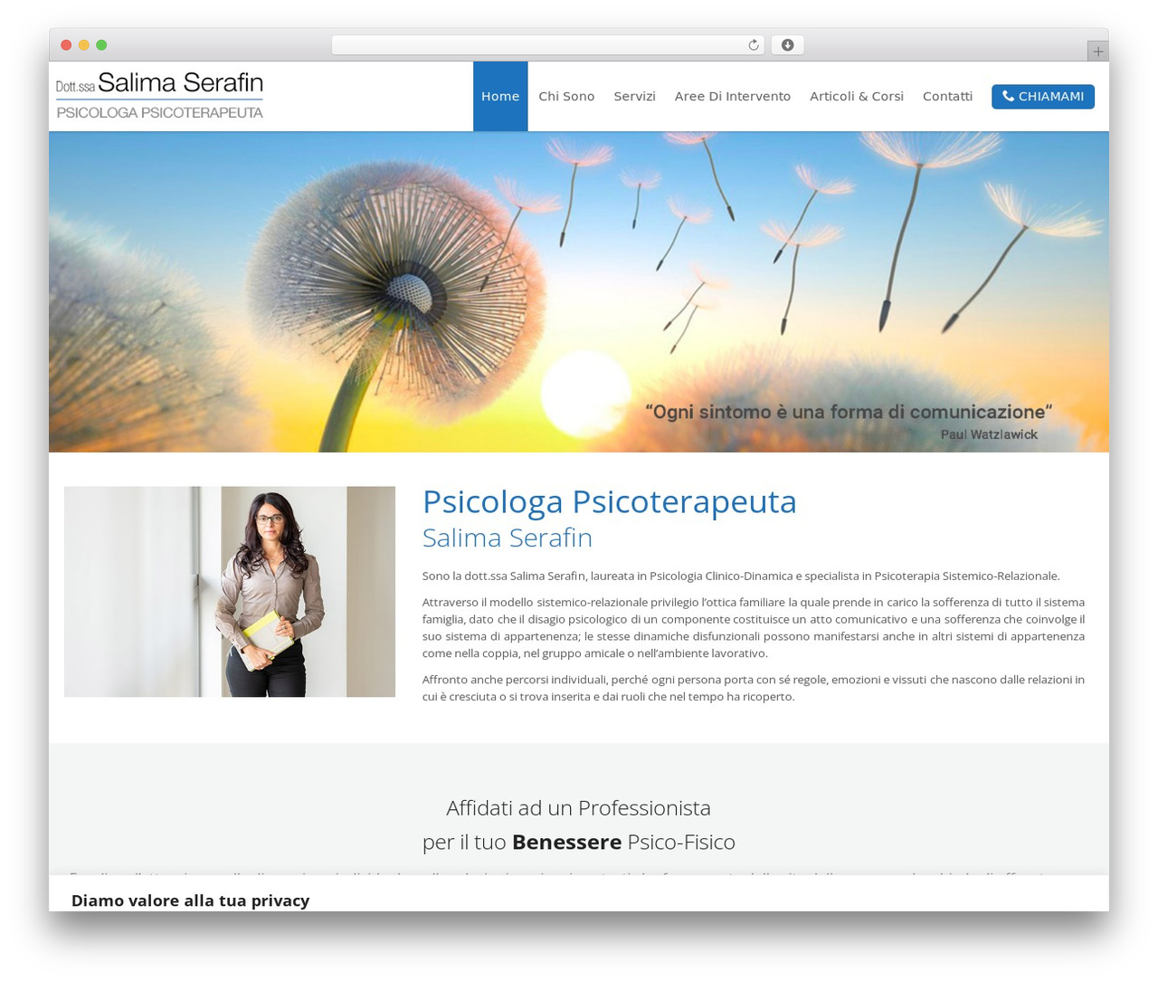 The Moon WordPress theme design - salimaserafin.it