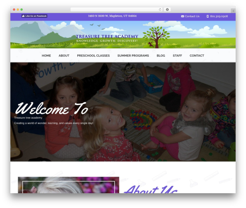 E signature WordPress plugin - treasuretreeacademy.com