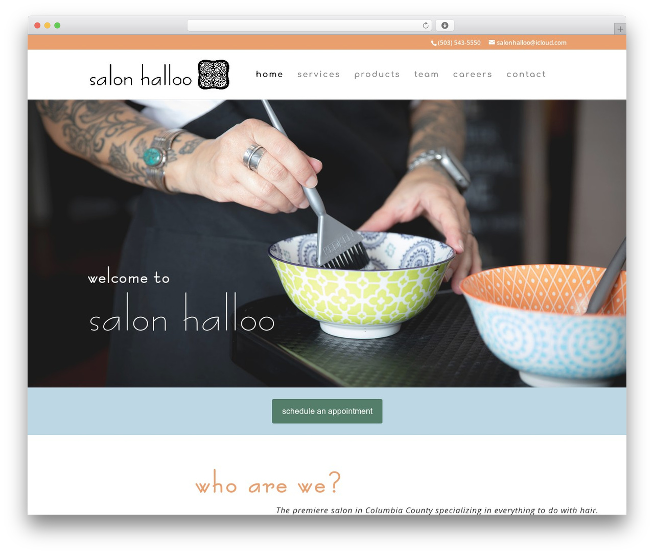 Theme WordPress Divi - salonhalloo.com