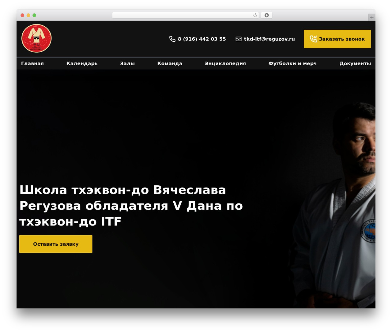 WordPress theme Theme - taekwondo-reguzov.ru