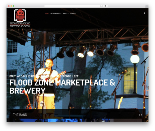 Themeum tweet WordPress plugin - schizophonicband.com