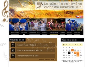 WordPress theme SDOM by Vyzj Art