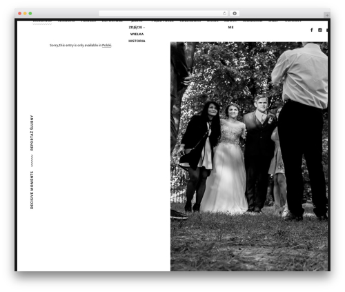 WordPress theme Timber - michalobrycki.com
