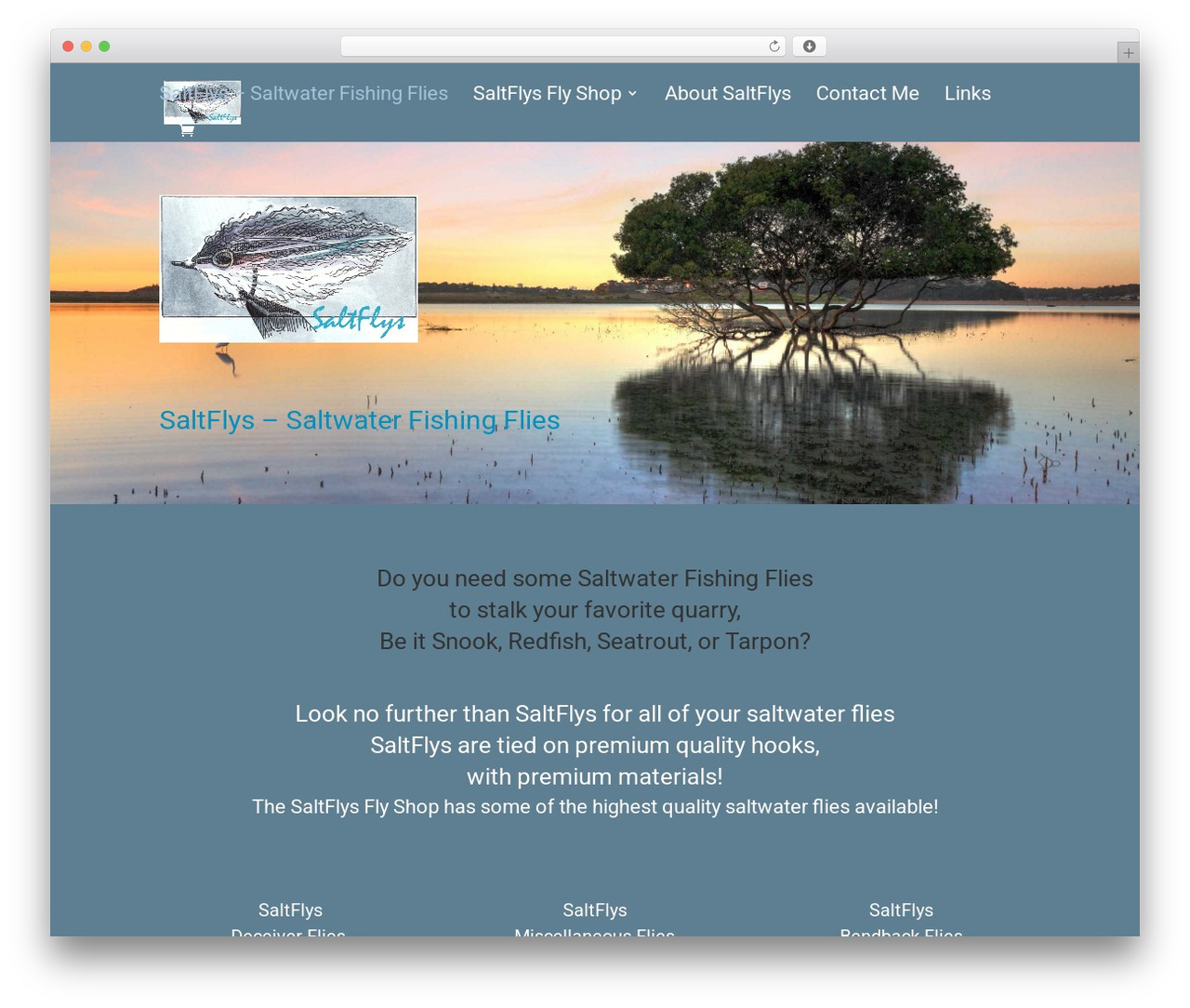 WP theme Divi - saltflys.com WP theme Divi - saltflys.com