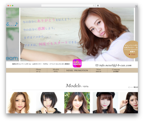 WP theme my-theme - broadcast-nexel.com