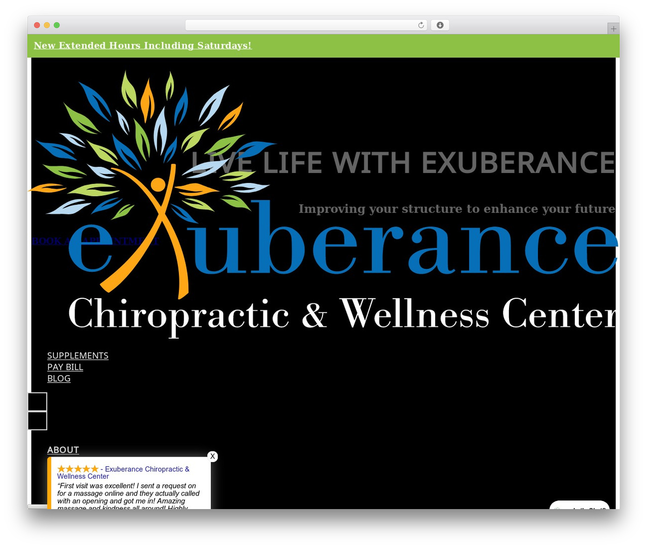 Bricks theme WordPress - exuberancechiropractic.com