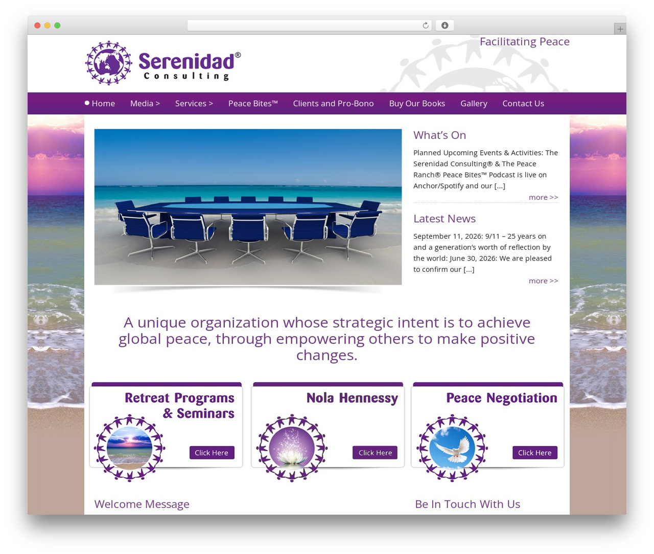 Catalyst WordPress page theme - serenidadconsulting.com