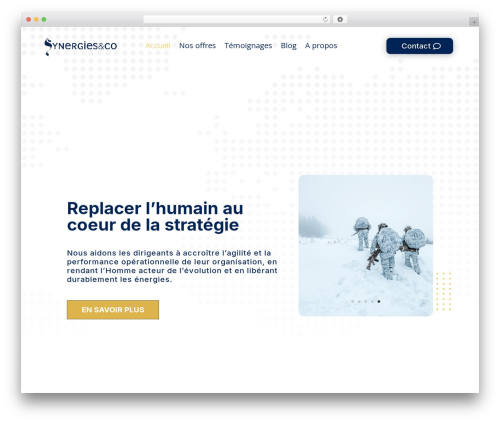 Divi mobile WordPress plugin - synergiesandco.com