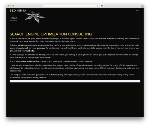 Evolv WordPress theme - seoninja.co