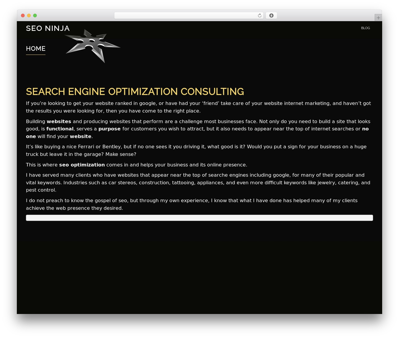Evolv WordPress theme - seoninja.co