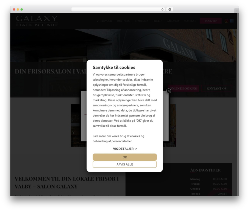 number-two WP theme - salongalaxy.dk