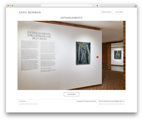 Owl Carousel WP (owl-carousel-wp) free WordPress plugin - sarabermanartist.com