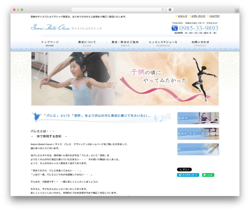 Simple One Custom best WordPress theme - satomi-ballet-classic.com