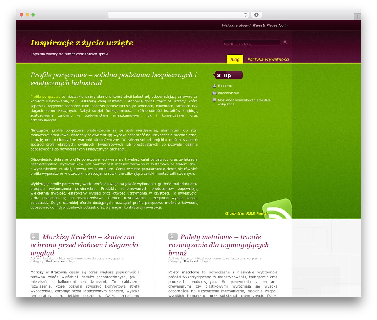 Snag WordPress theme - serwisyinternetowe.pl
