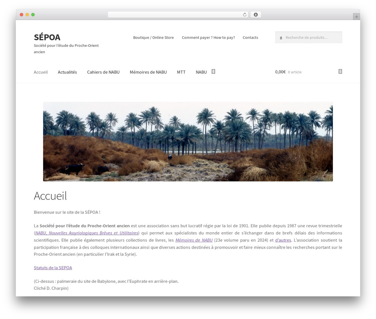 Storefront free WordPress theme - sepoa.fr