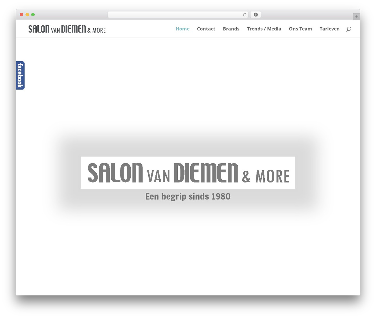 Theme WordPress Divi - salonvandiemen.nl Theme WordPress Divi - salonvandiemen.nl