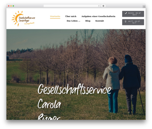 Fb pixel dsgvo WordPress plugin - gesellschaftsservice-rueger.de