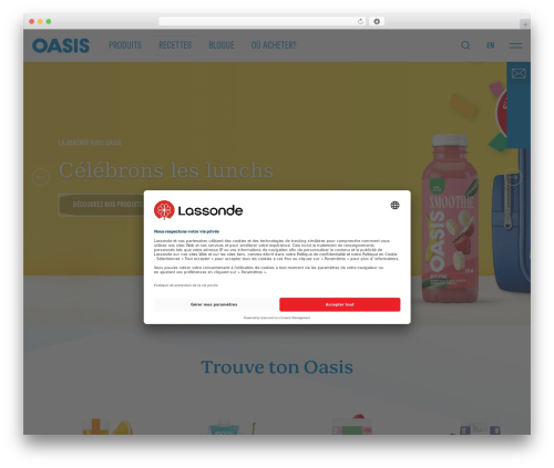 Vortex theme WordPress - oasis.ca