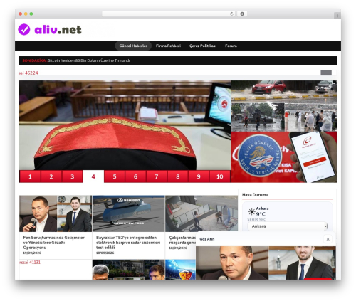 WordPress theme dtheme - aliv.net