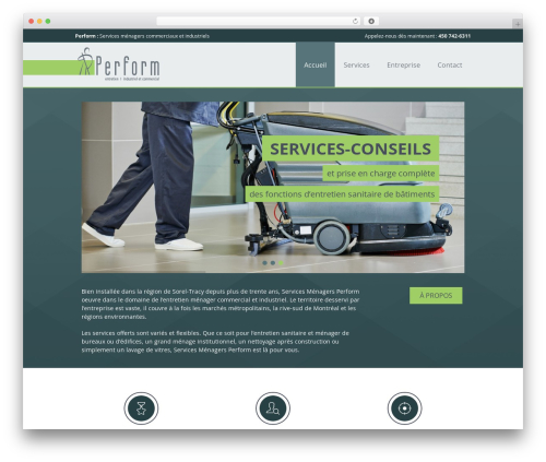WordPress theme Sapphire WordPress - servicesmenagersperform.com