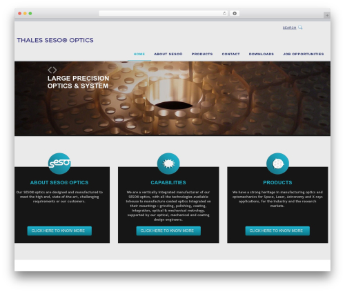 Best WordPress theme cherry - seso.com