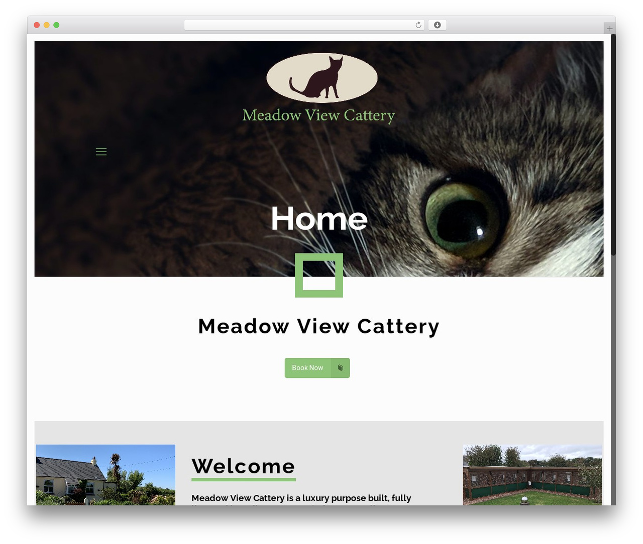 Betheme WordPress theme - meadowviewcattery.co.uk