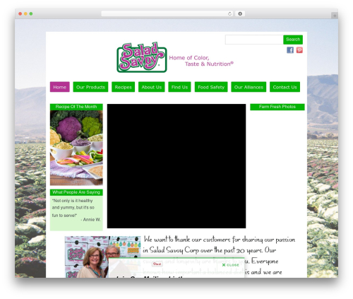 Builder WordPress theme - saladsavoy.com