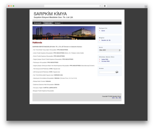 Corporate Theme WordPress theme design - sarpkim.com