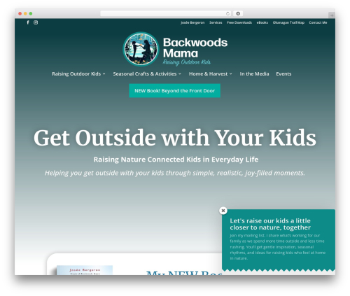 Divi taxonomy helper WordPress plugin - backwoodsmama.com