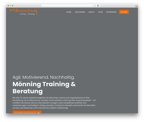 Flynt WordPress theme - www.moenning-training.de