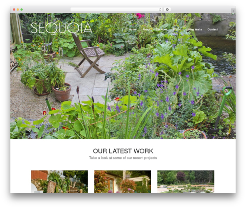 Themetrust social WordPress plugin - sequoiadesign.ie