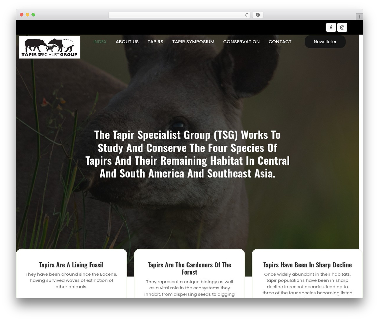 Hello Elementor WordPress theme - tapirs.org Hello Elementor WordPress theme - tapirs.org