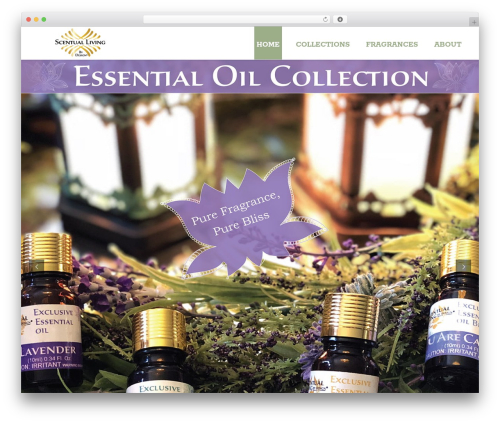 SEO Design Framework WordPress website theme - scentualliving.com SEO Design Framework WordPress website theme - scentualliving.com