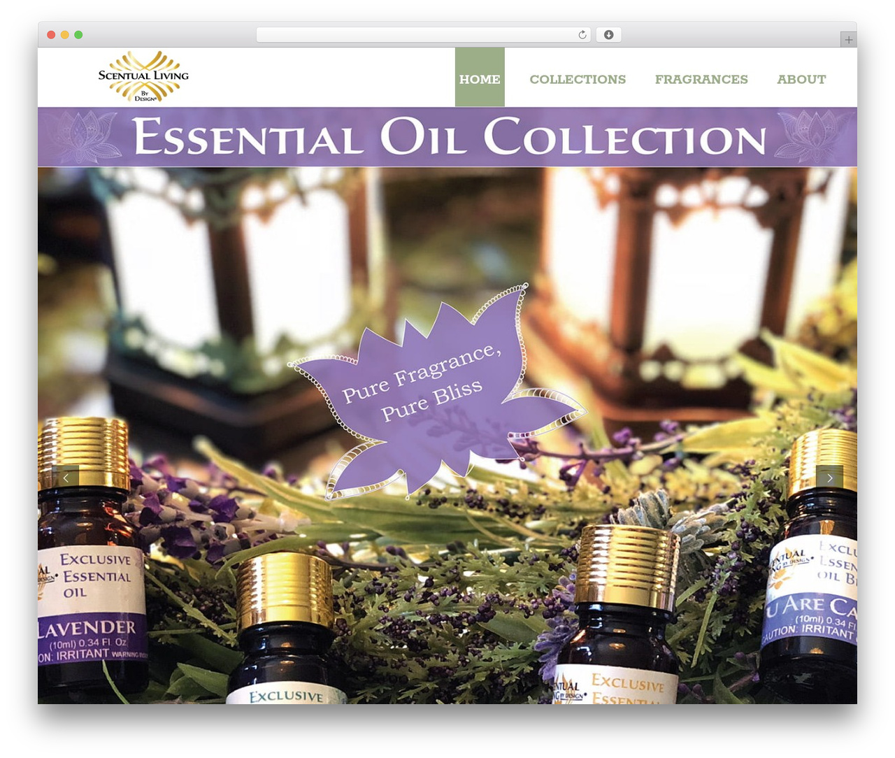 SEO Design Framework WordPress website theme - scentualliving.com SEO Design Framework WordPress website theme - scentualliving.com