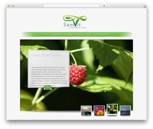 SimplePress best WordPress theme - samvit.ch