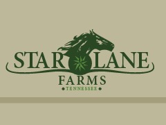 StarLane WordPress theme StarLane WordPress theme