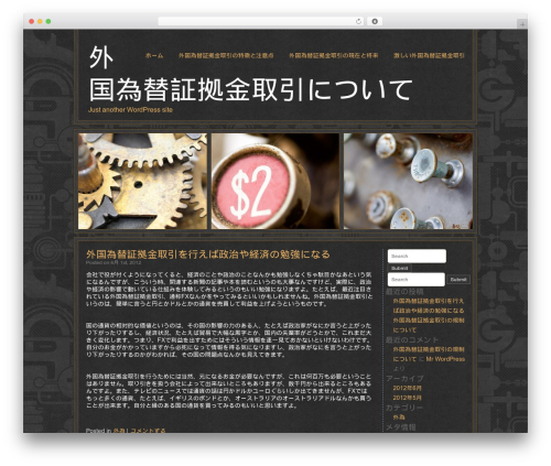 Steampunk WordPress theme - seaviewoptometric.com