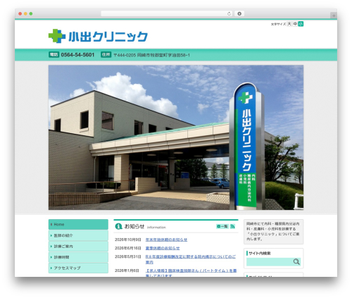 Ns theme WordPress plugin - koideclinic.com
