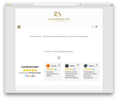 Mega addons for visual composer pro WordPress plugin - steinborn-spa.com